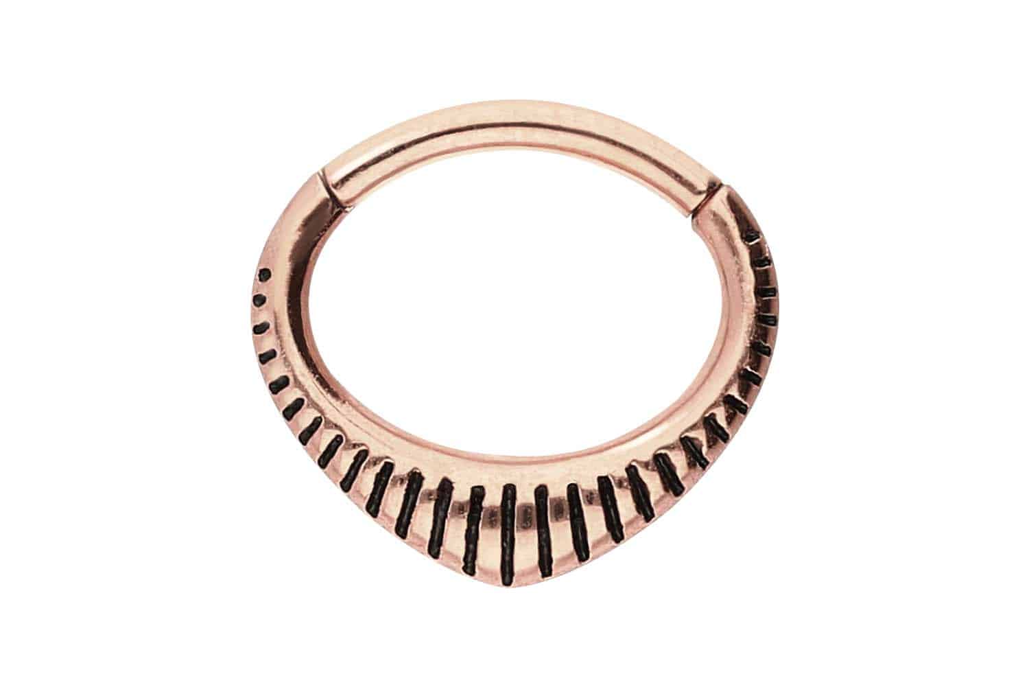 Chirurgenstahl Segmentring Clicker Piercing DESIGN